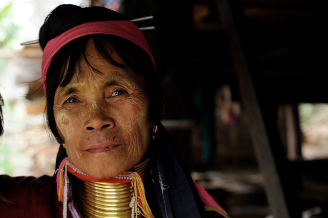 Kiedy będę ptakiem