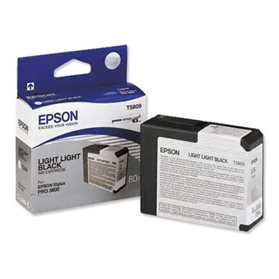 Tusz oryginalny T5809 do Epson (C13T580900) (Jasny jasny czarny)